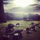 Sunrise Yoga