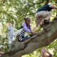 Climbing the Copper Beech