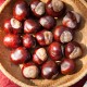Nuts