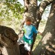 Climbing the Copper Beech