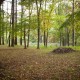 Manor Grounds