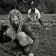 Harvesting Chard